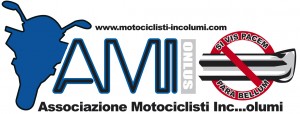Logo AMI piccolo